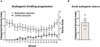 Cannabinoid Receptor Type 1 (CB1R) Expression in Limbic Brain Structures After Acute and Chronic Seizures in a Genetic Model of Epilepsy